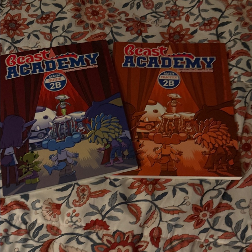 Math Guide 2B Set - Blue and Red